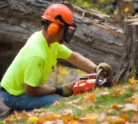 tree services Oak Hills Place